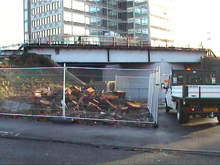Tree removal